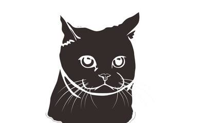 Animal - Pet - Adorable cat illustration with Negative Effect Photo