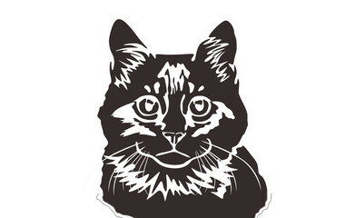 Animal - Pet - Adorable cat illustration with Negative Effect Photo