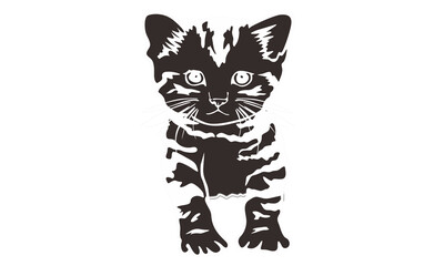 Animal - Pet - Adorable cat illustration with Negative Effect Photo