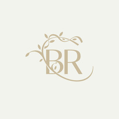 B R BR Beauty vector initial logo, handwriting logo of initial signature, wedding, fashion, jewerly, boutique, floral and botanical with creative template