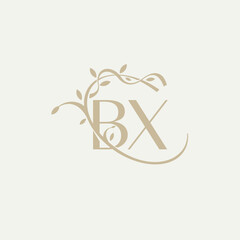 B X BX Beauty vector initial logo, handwriting logo of initial signature, wedding, fashion, jewerly, boutique, floral and botanical with creative template