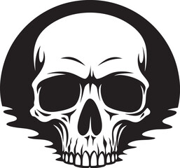 Mystical Skull Unearthed Wall Cracks Reveal Black Skull in Wall An Enigma Unveiled