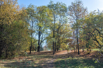 Autumn view of South Park in city of Sofia, Bulgaria
