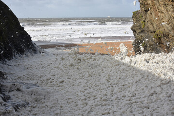 white foam on the beach after the storm