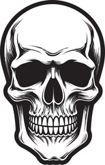 Shadowed Sorcery The Ominous Skull Ebon Enchantment A Cryptic Design