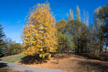 Autumn view of South Park in city of Sofia, Bulgaria