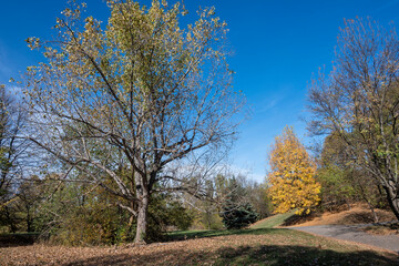Autumn view of South Park in city of Sofia, Bulgaria