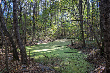 Autumn view of South Park in city of Sofia, Bulgaria