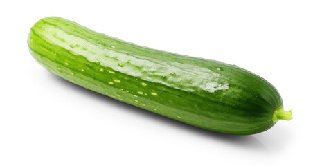 fresh ripe bright green cucumber