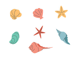 Set of seashells and starfish on a white background. Flat cartoon style with line elements. Flat shells for summer design
