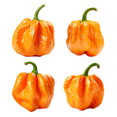 a set of orange habanero pepper isolated