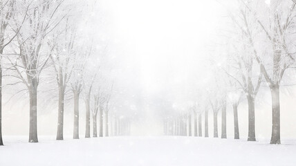 winter alley of trees, snowfall in the morning misty park, winter landscape, seasonal abstract blurred background copy space