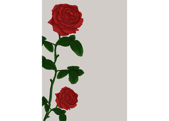 Background with red rose decoration