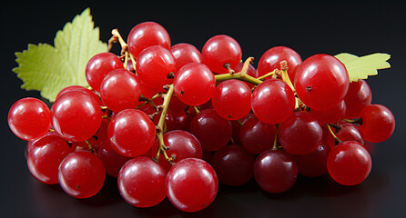 Ideal for your designs, banners or advertising graphics.