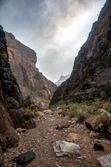 Dry Creek Bed Heads Toward The Colorado River At Monument Creek