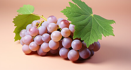 Fototapeta premium Portrait of grape. Ideal for your designs, banners or advertising graphics.