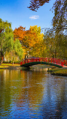 葉が色づく桜の木々に囲まれた、秋の公園と赤い太鼓橋