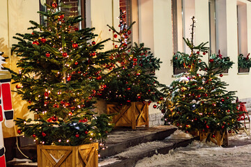 Fototapeta na wymiar Christmas street decor. Festive trees with Christmas red balls.
