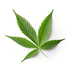 Marijuana Cannabis Leaf Artwork, Generative AI