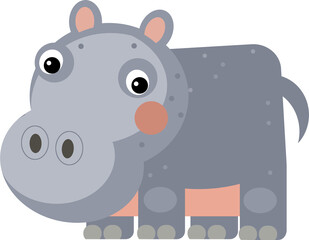 cartoon scene with happy hippo hippopotamus looking isolated illustration for children
