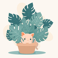 Zabawny kotek ukrywający się w liściach monstery. - obrazy, fototapety, plakaty