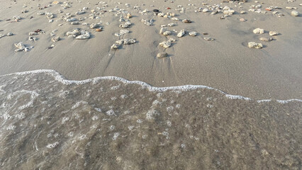 Sandy beach and white coral pebbles among the foam of the waves