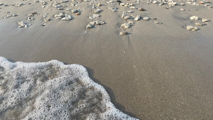 Sandy beach and white coral pebbles among the foam of the waves