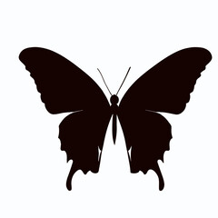 Vector Silhouette of Butterfly, Beautiful Butterfly Graphic for Nature and Insect Themes