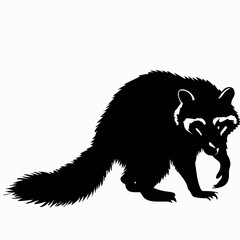 Vector Silhouette of Raccoon, Curious Raccoon Illustration for Animal and Nature Themes