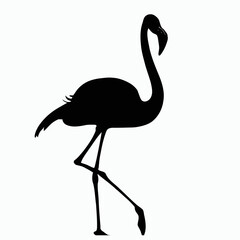 Vector Silhouette of Flamingo, Pink Flamingo Graphic for Bird and Tropical Concepts