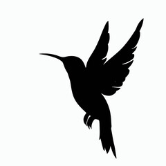 Vector Silhouette of Hummingbird, Delicate Hummingbird Illustration for Bird and Flower Designs
