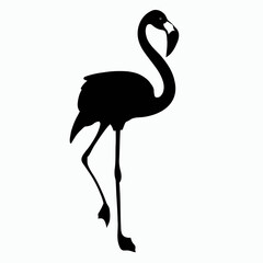 Vector Silhouette of Flamingo, Pink Flamingo Graphic for Tropical and Bird Concepts