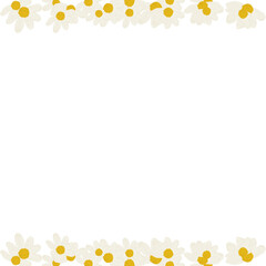chamomile flower close-up. Daisy frame.