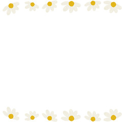 chamomile flower close-up. Daisy frame.