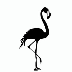 Vector Silhouette of Flamingo, Pink Flamingo Graphic for Tropical and Bird Concepts