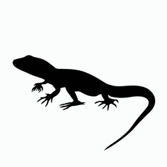 Obraz na płótnie Canvas Vector Silhouette of Lizard, Curious Lizard Illustration for Reptile and Nature Themes