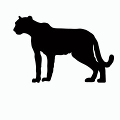 Vector Silhouette of Cheetah, Fast Cheetah Graphic for Wildlife and Nature Themes