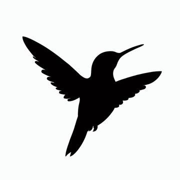 Vector Silhouette of Hummingbird, Delicate Hummingbird Illustration for Bird and Flower Designs