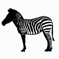 Vector Silhouette of Zebra, Striking Zebra Illustration for Wildlife and Africa Concepts