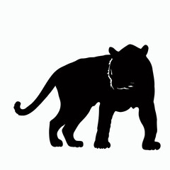 Vector Silhouette of Tiger, Powerful Tiger Graphic for Wildlife and Jungle Concepts