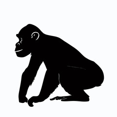 Fototapeta premium Vector Silhouette of Chimpanzee, Intelligent Chimpanzee Graphic for Wildlife Concepts