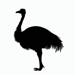 Vector Silhouette of Emu, Tall Emu Illustration for Wildlife and Nature Themes