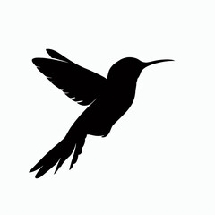 Vector Silhouette of Hummingbird, Delicate Hummingbird Illustration for Bird and Flower Designs