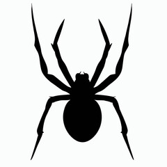 Vector Silhouette of Spider, Creepy Spider Illustration for Arachnid and Halloween Concepts