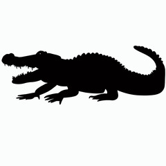 Vector Silhouette of Crocodile,alligator, Stealthy Crocodile Illustration for Nature and Wildlife Designs