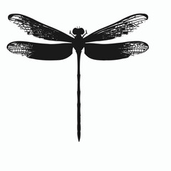 Vector Silhouette of Dragonfly, Graceful Dragonfly Illustration for Insect and Nature Concepts
