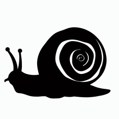 Vector Silhouette of Snail, Slow Snail Graphic for Nature and Wildlife Concepts © Evalva786