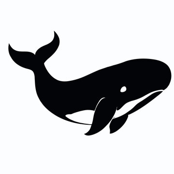 Vector Silhouette of Whale, Majestic Whale Illustration for Marine and Sea Concepts