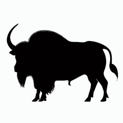 Vector Silhouette of Buffalo, Strong Buffalo Illustration for Wildlife and Nature Themes