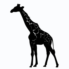 Vector Silhouette of Giraffe, Tall Giraffe Illustration for Animal and Zoo Designs